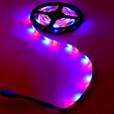 Deals and Offers on - ARCHIES Diwali Lights Deals, Discounts & Offers on - ARCHIES Diwali Lights