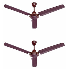 Deals and Offers on - Candes Magic 48 inch /1200 MM High Speed Anti Dust Ceiling Fan, 405 RPM with 2 Years Warranty (Brown, Pack of 2) Deals, Discounts & Offers on - Candes Magic 48 inch /1200 MM High Speed Anti Dust Ceiling Fan, 405 RPM with 2 Years Warranty (Brown, Pack of 2)