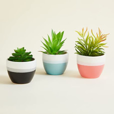 Deals and Offers on Gardening Tools - Home Centre Spinel Shine Multicolour Printed Ceramic Floor Planters - Set of 3 Deals, Discounts & Offers on Gardening Tools - Home Centre Spinel Shine Multicolour Printed Ceramic Floor Planters - Set of 3