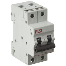 Deals, Discounts & Offers on Home Improvement - GM MCB 40A DOUBLE POLE 'C' TYPE