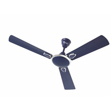 Deals, Discounts & Offers on  - Surya Grace 1200MM Ceiling Fans |