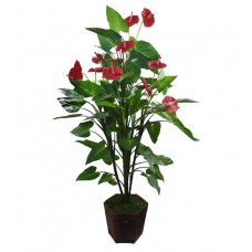 Deals, Discounts & Offers on Home Decor & Festive Needs - Flat 20% offer on Fourwalls Anthurium Plant with 3 Flowers