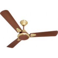 Deals, Discounts & Offers on Home Appliances - Up to 37% + Extra Rs.100/- flat off on every purchase of Ceiling Fan