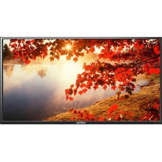 Deals, Discounts & Offers on Televisions - Flat 42% off on Intex HD LED TV