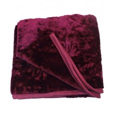 Deals, Discounts & Offers on Home Appliances - Flat 29% off on Winnter Mink Double Blankets