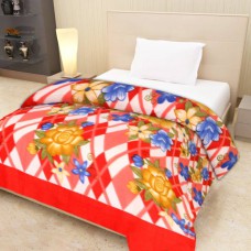 Deals, Discounts & Offers on Home Decor & Festive Needs - Starting at Rs 249-349  on Fleece Blankets