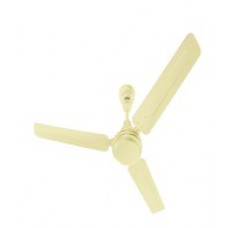 Deals, Discounts & Offers on Electronics - Eveready 1200mm FAB M Ceiling Fan