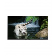 Deals, Discounts & Offers on Televisions - Sony BRAVIA KDL-43W800D 108cm 