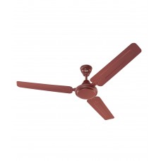 Deals, Discounts & Offers on Furniture - Eveready Ceiling Fan