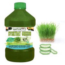 Deals, Discounts & Offers on Health & Personal Care - WHEATGRASS ALOEVERA EVERYDAY GREENS JUICE 500mL