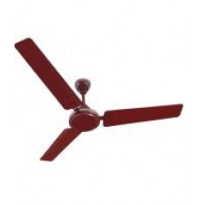 Deals, Discounts & Offers on Home Appliances - Orpat 48 Inches Air Flora Ceiling Fan