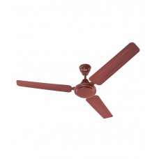 Deals, Discounts & Offers on Electronics - Eveready 1200mm FAB M Ceiling Fan Brown