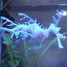 Deals, Discounts & Offers on Home Decor & Festive Needs - Glowing Effect Artificial Blue Leafy Sea Dragon Aquarium Fish Tank Decoration
