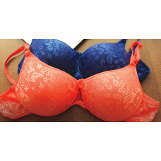 Deals, Discounts & Offers on Women Clothing - 2 Plush Bras @ 999 & above