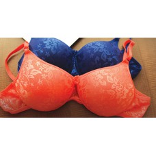 Deals, Discounts & Offers on Women Clothing - 2 Plush Bras For Rs.999 offer+5% Discount