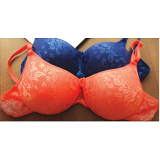 Deals, Discounts & Offers on Women Clothing - 2 Plush Bras For Rs.999
