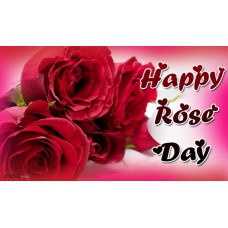 Deals, Discounts & Offers on Home Decor & Festive Needs - Valentines - Rose day