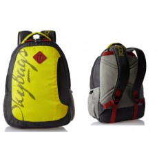 Deals, Discounts & Offers on Accessories - Get Skybags Leo 26 Ltrs Yellow Casual Backpack + Extra 10% Cashback