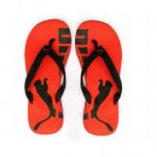 Deals, Discounts & Offers on Foot Wear - 40 - 80% Off on Branded Fashion