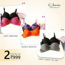 Deals, Discounts & Offers on Women Clothing - 2 Plush Bras @ 999