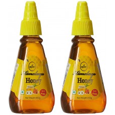 Deals, Discounts & Offers on Food and Health - Himalaya Apis Honey Buy 1 Get 1 Free