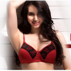 Deals, Discounts & Offers on Women Clothing - 2 Plush Bras offer at @ Rs.999