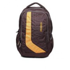 Deals, Discounts & Offers on  - Flat 50% off on select American Tourister Casual & Laptop Backpacks