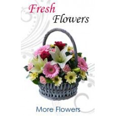 Deals, Discounts & Offers on Home Decor & Festive Needs - 15% off on minimum purchase offer