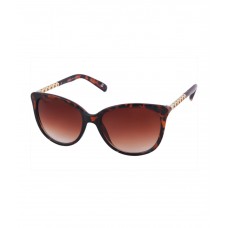 Deals, Discounts & Offers on  - Joe Black Brown Cat Eye Sunglasses